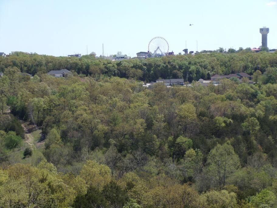 The Vista Lägenhet Branson Exteriör bild